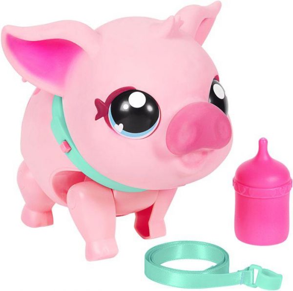 LLP - Mein Hausschwein - Piggly